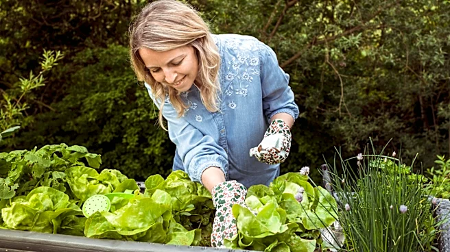 Not Copper Nor Egg Shells: Distract Slugs From Veggies With This Summer-Blooming Herb