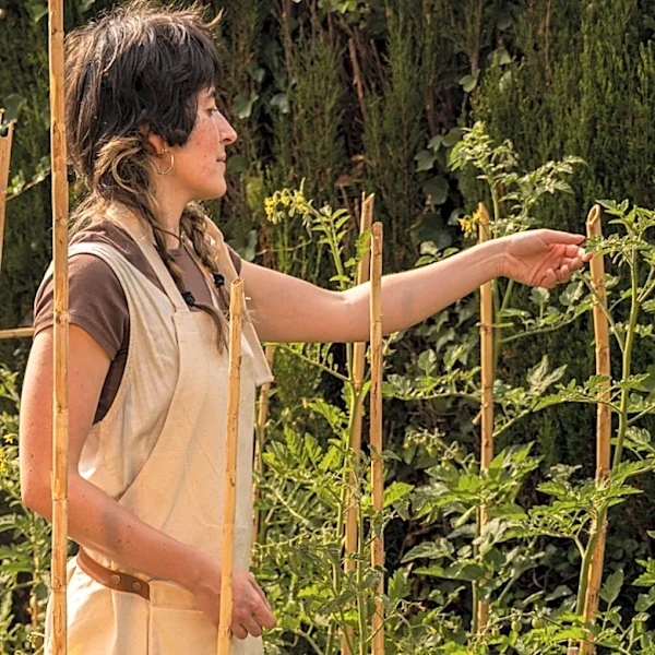 Goodbye Bamboo Stakes: Support Your Plants With A Cheaper And Sturdier Alternative