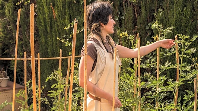 Goodbye Bamboo Stakes: Support Your Plants With A Cheaper And Sturdier Alternative
