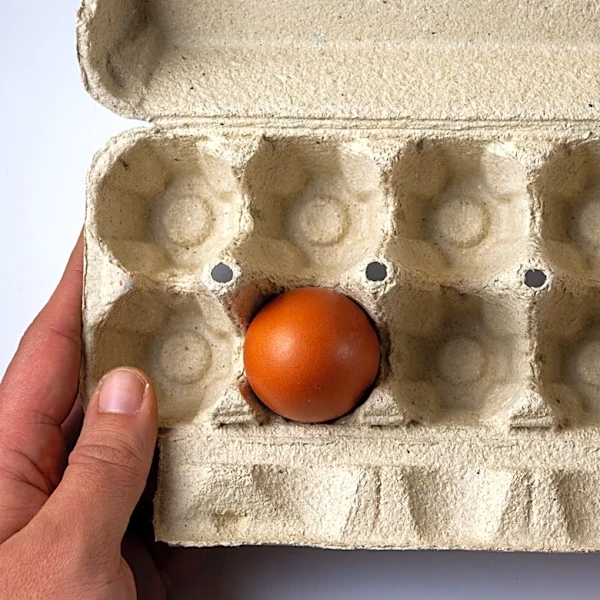 Use Old Egg Cartons And Cement To Create A Budget-Friendly Planter That Looks High End