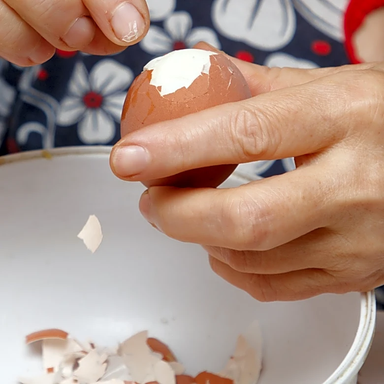 Not Compost Nor Fertilizer: Use Eggshells To DIY Charming Wall Decor