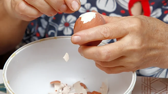 Not Compost Nor Fertilizer: Use Eggshells To DIY Charming Wall Decor