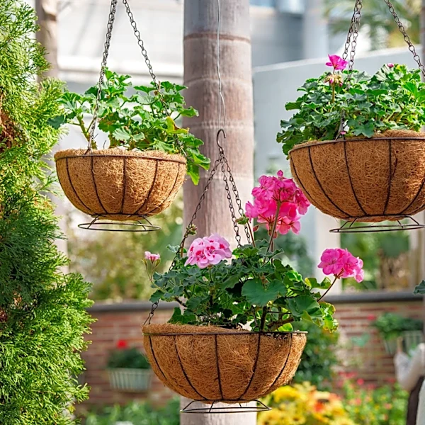 How Often The Pros Say To Water Hanging Baskets During A Heat Wave