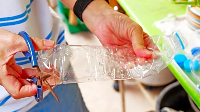 Use A Plastic Bottle For A Unique Lotus-Inspired Light With A Savvy DIY