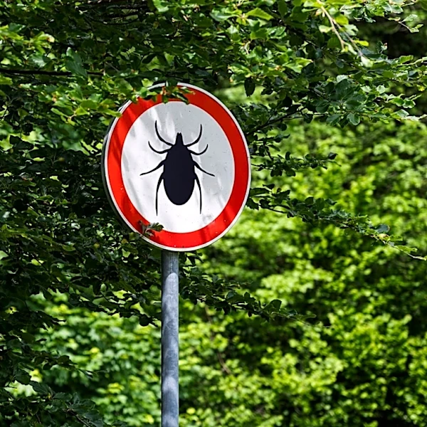 Stop Flushing Ticks Down The Toilet & Use This Foolproof Method Instead