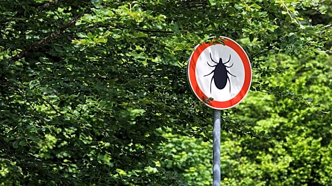 Stop Flushing Ticks Down The Toilet & Use This Foolproof Method Instead