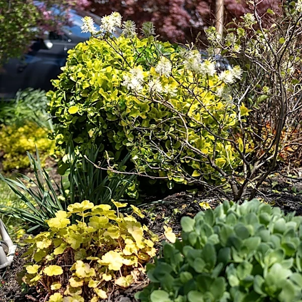 What Is The 3-Inch Edging Rule For Gravel Driveways And Garden Borders?
