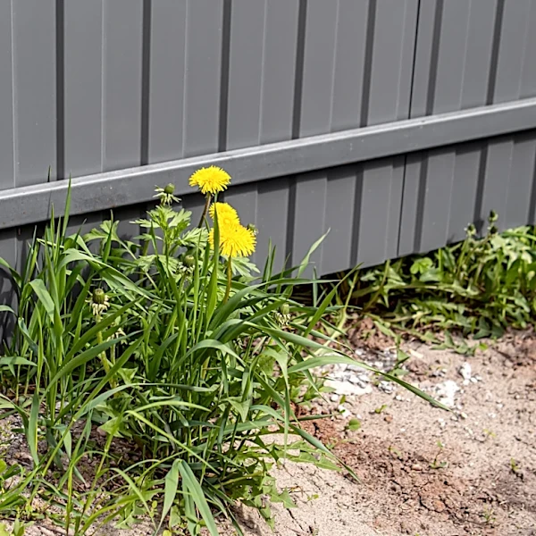 Don't Bother Hand Pulling: The Garden Tool For Removing Weeds From Tough Clay Soil Quickly