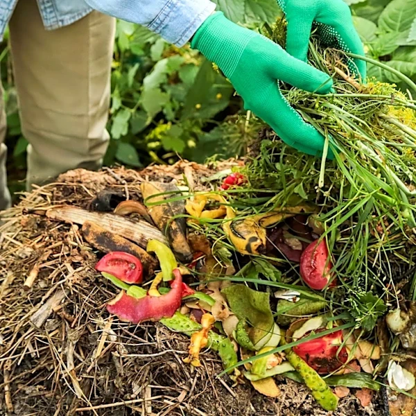 Not Coffee Grounds, Not Egg Shells: The Kitchen Scrap You Should Avoid Adding To Compost