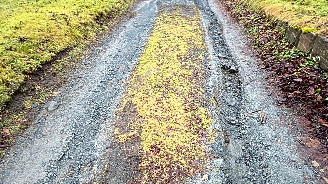 How To Keep A Gravel Driveway From Washing Out With The Right Materials