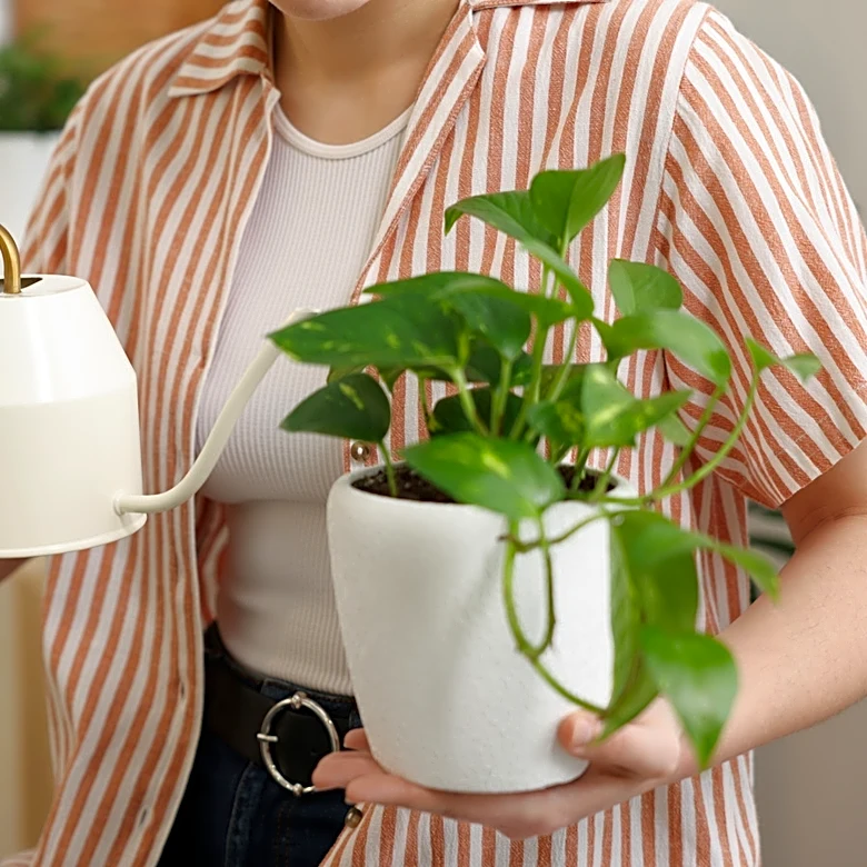 IKEA Has An Easy Solution For Plant Storage That Saves Floor Space