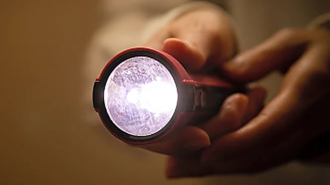 What Is The White Light In A Flashlight Used For?