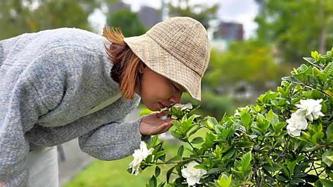 Why Do Gardenia Leaves Turn Yellow?