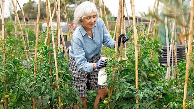 This Kitchen Staple Gives Tomatoes A Nutrient Boost — No, It's Not Coffee Grounds