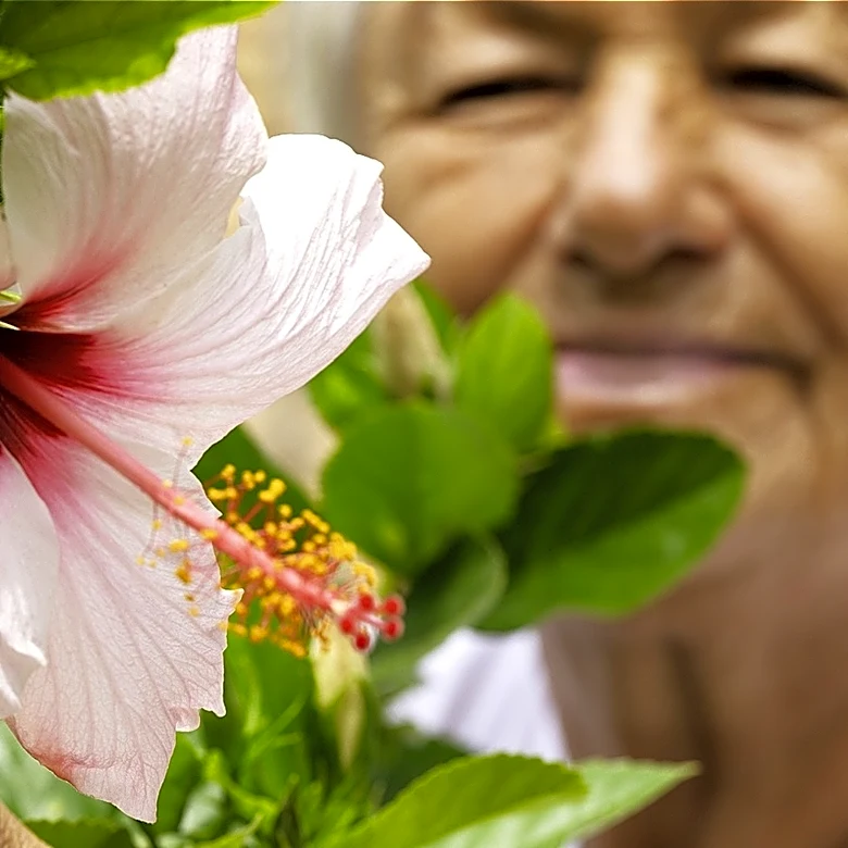 Why Do Some Flowers Close At Night?