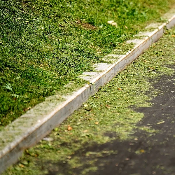 Is It Illegal To Blow Grass Clippings In The Street?
