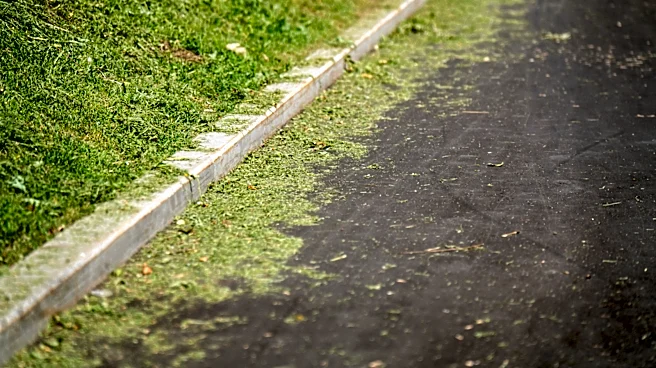 Is It Illegal To Blow Grass Clippings In The Street?
