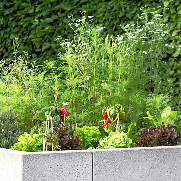 Not Regular Blocks: A Creative Way To Add Concrete Beds To Your Garden