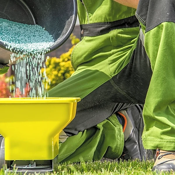 Consumer Reports Names The Right Time To Fertilize Your Lawn