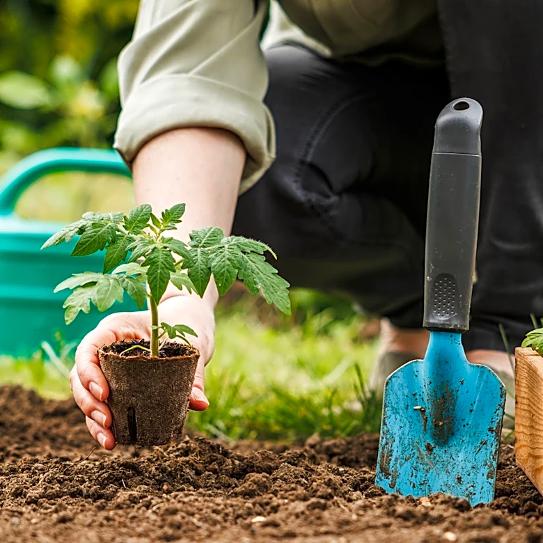 Why There's Simply No Need For Store-Bought Soil Boosters