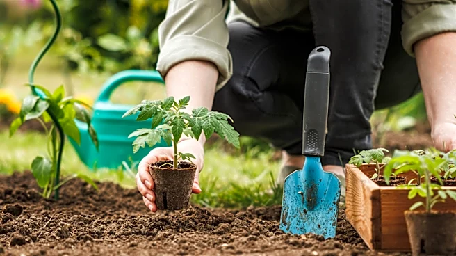 Why There's Simply No Need For Store-Bought Soil Boosters