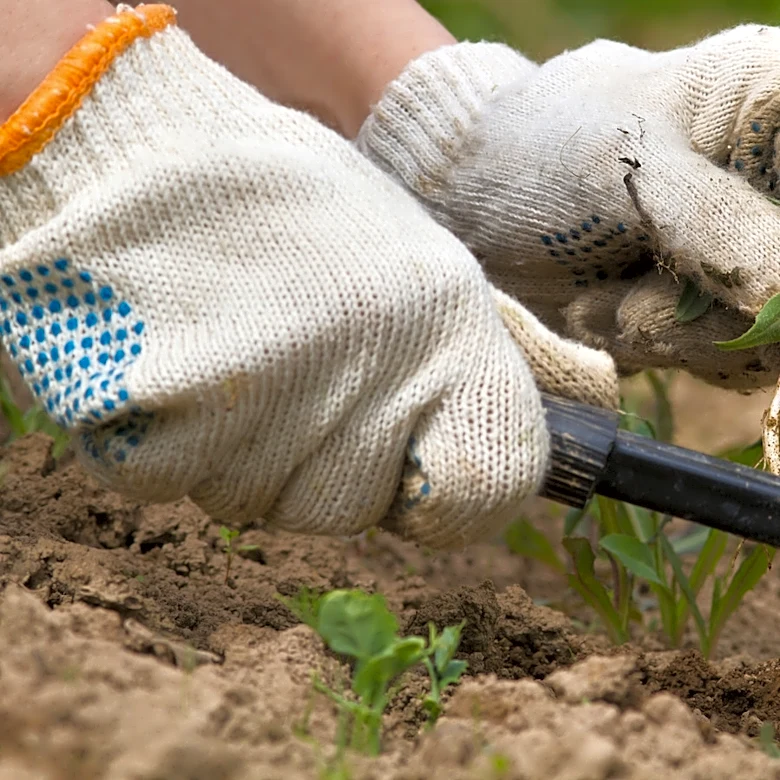 Forget Weeding Gear: This Tool You Already Own Makes Quick Work Of Unwanted Plants