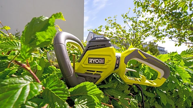12 Ryobi Gardening Tools That Are Under $100