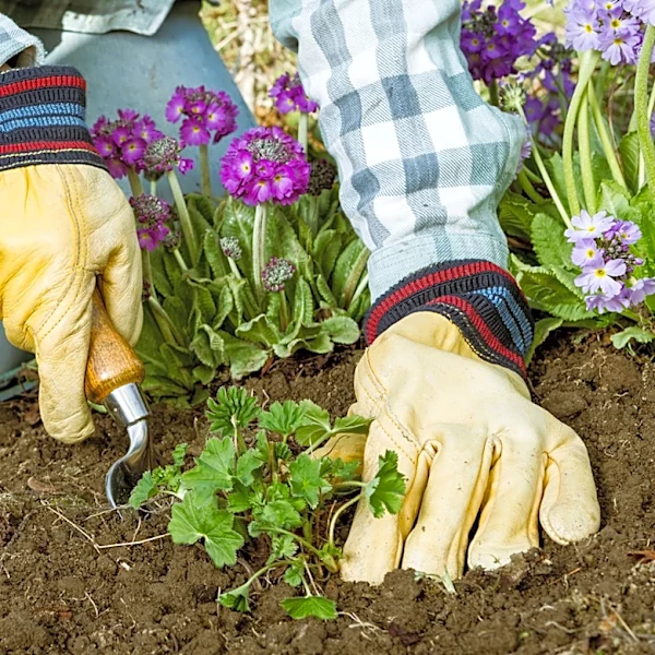 Ditch Landscape Fabric: This Kitchen Scrap Is A Great Alternative For Your Flower Bed