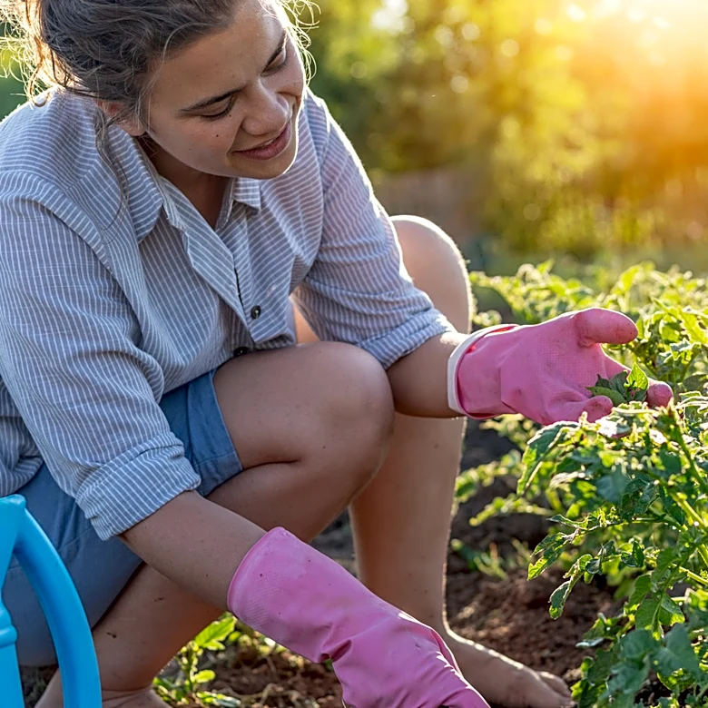 Growing Seasons Are Getting Longer: Here's What It Means For Gardeners