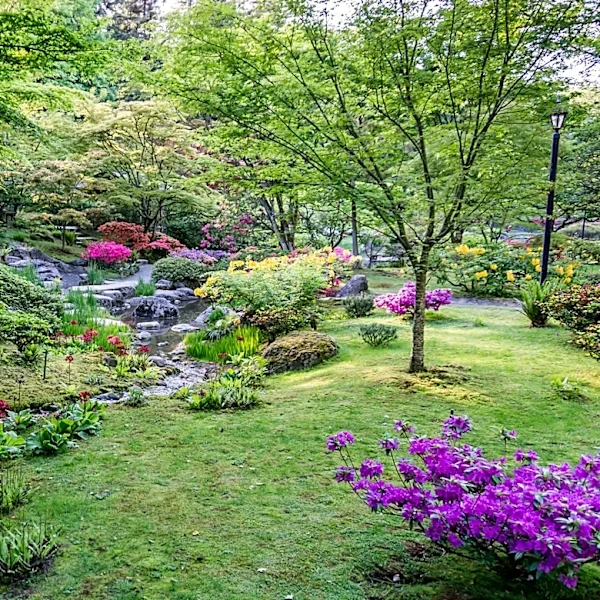 Forget Florida: Why Gardeners Are Choosing The Pacific Northwest For Year-Round Color