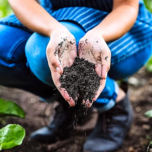 Repel Tiny Garden Worms With A Simple But Overlooked Solution
