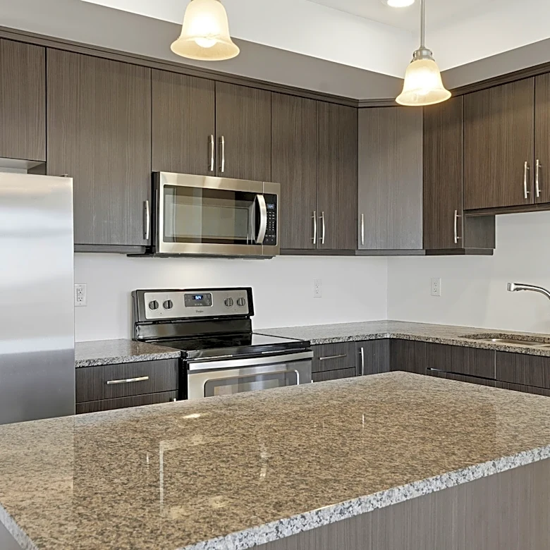 Why There's Simply No Need For Kitchen Cabinets Anymore