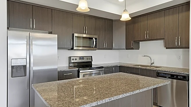 Why There's Simply No Need For Kitchen Cabinets Anymore