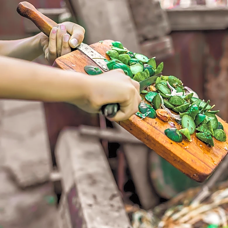 The Underrated Ingredient You Should Add To Your Compost Pile