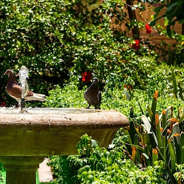 Goodbye Traditional Bird Baths — There's An Antique-Style Find From Home Depot