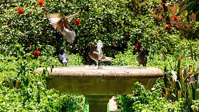 Goodbye Traditional Bird Baths — There's An Antique-Style Find From Home Depot