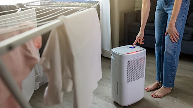 Should You Put Hydrogen Peroxide In Your Dehumidifier?