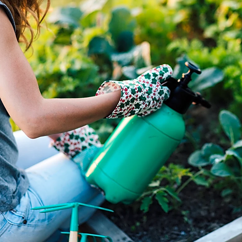 Pesticide And Insecticide: Is There A Difference?