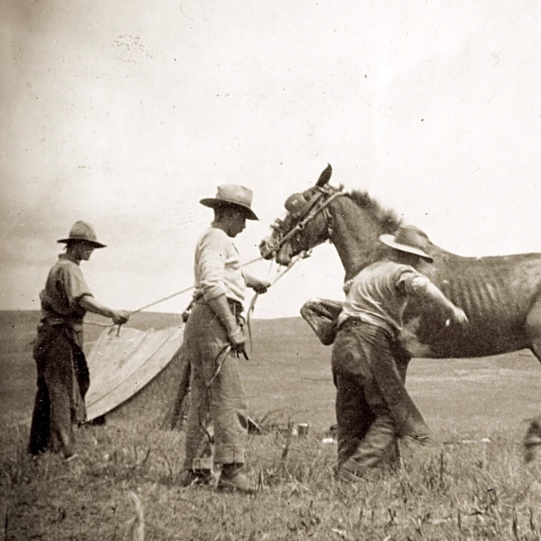 The Kitchen Essential That Cowboys Commonly Carried On The Trail