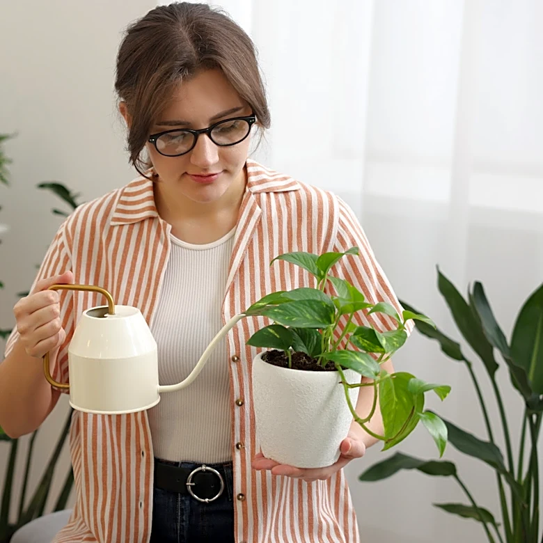 The Neglected Household Scrap To Add To DIY Fertilizer For A Thriving Pothos Plant