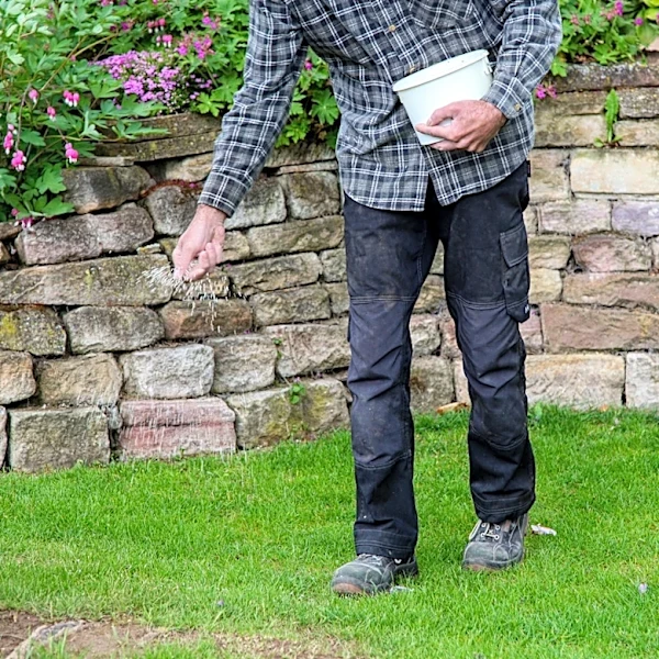 How Often To Water Grass Seed So It Thrives