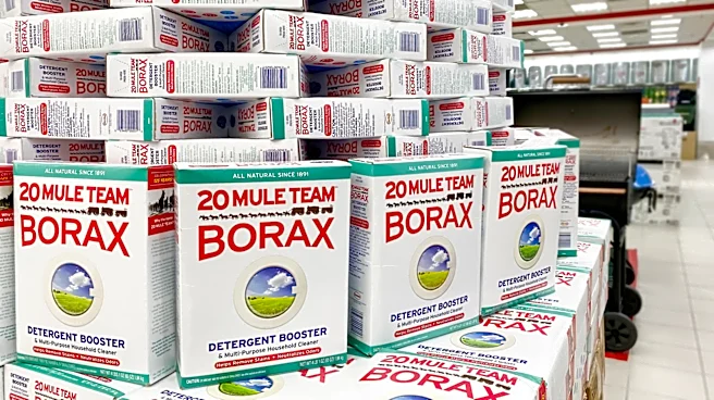 Borax Vs Boric Acid: Is There A Difference?