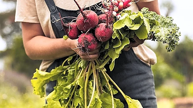 13 Leafy Greens You Can Harvest All Summer Long (And 2 You'll Only Pick Once)
