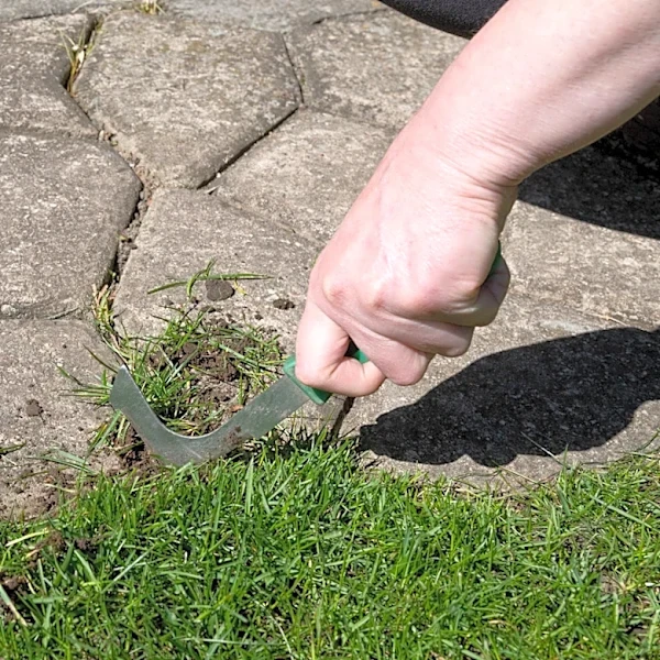 Remove Stubborn Weeds From Paths With A Solution That's Easier Than Hand-Pulling