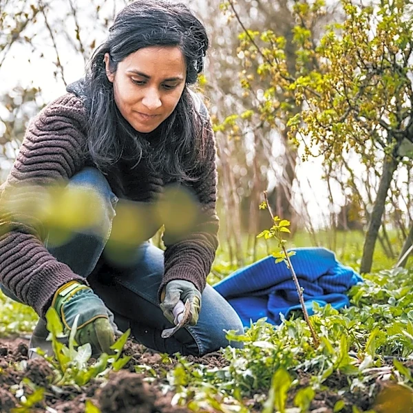 Hand-Pulling Vs Getting Weeds Sprayed: What's The Difference?