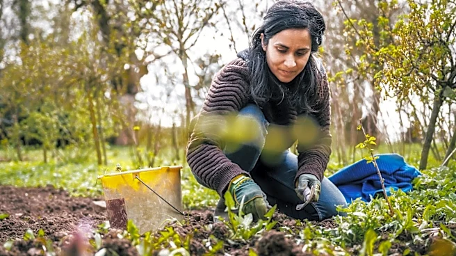 Hand-Pulling Vs Getting Weeds Sprayed: What's The Difference?