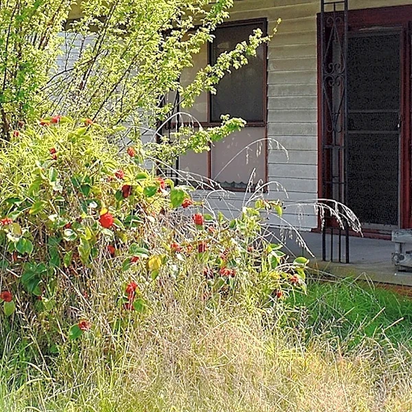 The Porch Staples That Are Actually Creating An Eyesore In Front Of Your Home