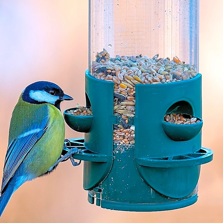 How To Dry Out Damp Bird Seed With A Simple But Overlooked Solution