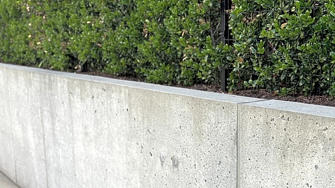 The Affordable Product That Efficiently Fills Hairline Cracks In Concrete Retaining Walls