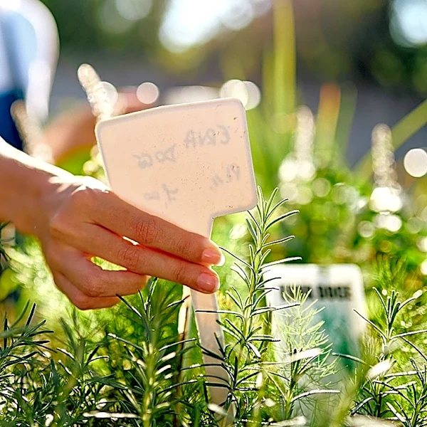 Move Over, Plastic Plant Labels: There's A Durable, Eco-Friendly Option